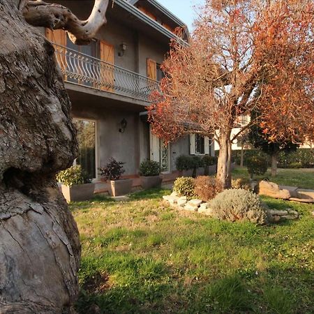 فندق Magnolia سافينيانو سول روبيكوني المظهر الخارجي الصورة