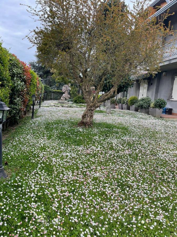 فندق Magnolia سافينيانو سول روبيكوني المظهر الخارجي الصورة